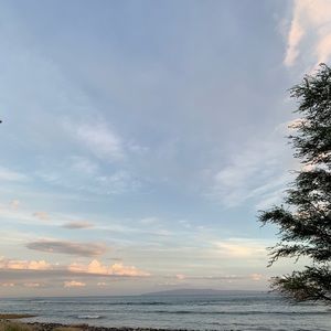 Meet your Posher, Marie